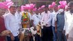 Celebrations After Stolen Goat Worth Rs 16 Lakh Recovered By Sangli Police