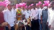 Celebrations After Stolen Goat Worth Rs 16 Lakh Recovered By Sangli Police