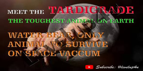 Indestructible Water Bear|Adventure Zone Tardigrade|Tardigrade Unique Characteristics|Tardigrade Space Experiment| Tardigrade Radiation Tolerance