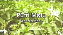 Anci La Ricci - Putri Malu (Official Lyric Video)