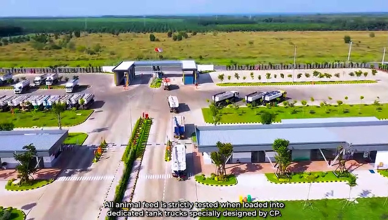 Vietnam has Southeast Asia's largest chicken export complex for the first time