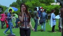 Shehrnaz | Episode 15 | Ayeza Khan | Aly Khan | Sajid Hasan | Pakistani Drama | Urdu1 TV Dramas