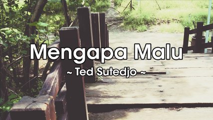 Ted Sutedjo - Mengapa Malu (Official Lyric Video)