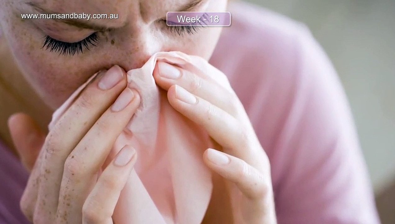 Pregnancy Week 18 - Five Months Pregnant