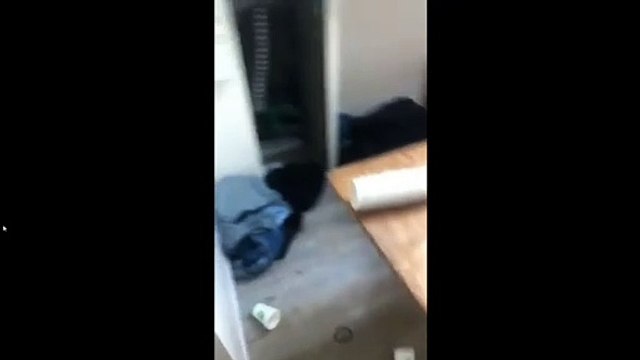 «J’ai retrouvé mon pavillon saccagé» : une fête clandestine scandalise un pompier du Val-de-Marne