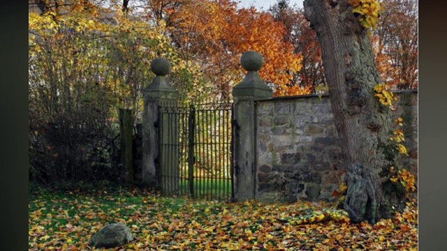 Vous avez 10 secondes pour trouver la femme sur cette photo