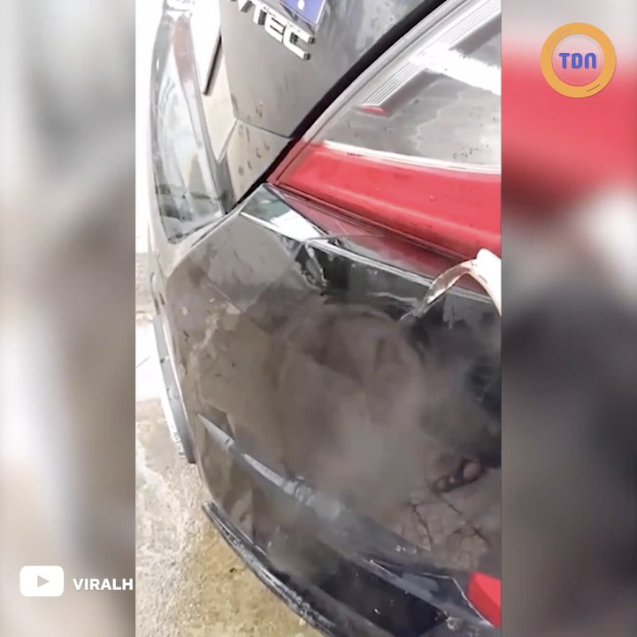 Technique pour réparer une bosse sur la carrosserie de votre voiture