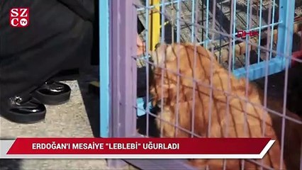 Cumhurbaşkanı Erdoğan'ı mesaiye Leblebi uğurladı