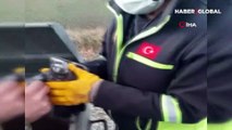 Canlı güvercinleri poşete koyup çöpe atmışlar!