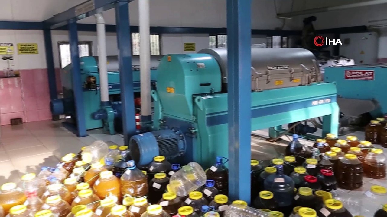Yeşil altın olarak biliniyor litresi 250 liradan satılıyor