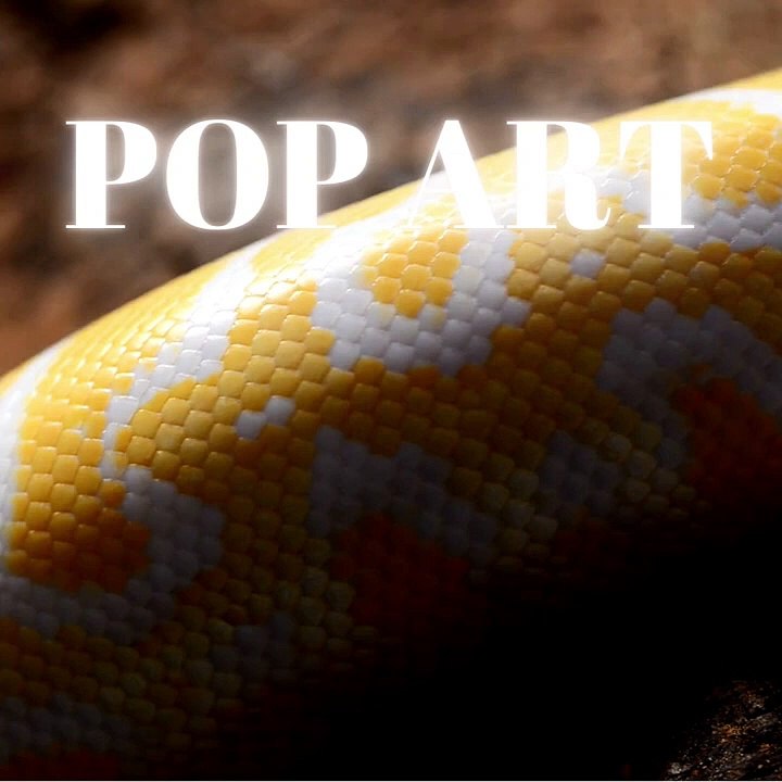 VENENO - ANITTA - REMIX