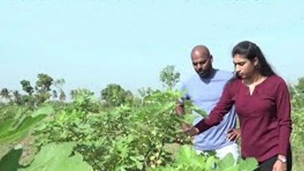 Tamilnadu : వ్యాపారం కాదనుకుని వ్యవసాయం వైపు.. స్ఫూర్తినిస్తున్న దంపతులు