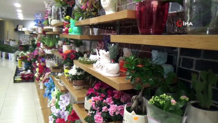 Yılbaşı çiçeği olarak bilinen ’Kokina’ bitkisine büyük ilgi