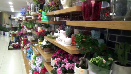 Yılbaşı Çiçeği Olarak Bilinen ’Kokina’ Bitkisine Büyük İlgi