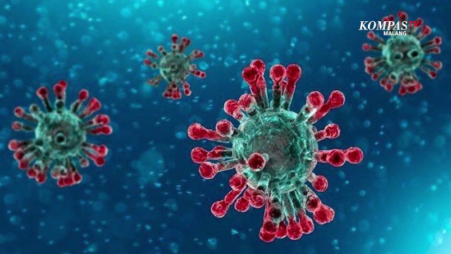 Data Covid-19 Kota Malang 29 Desember 2020