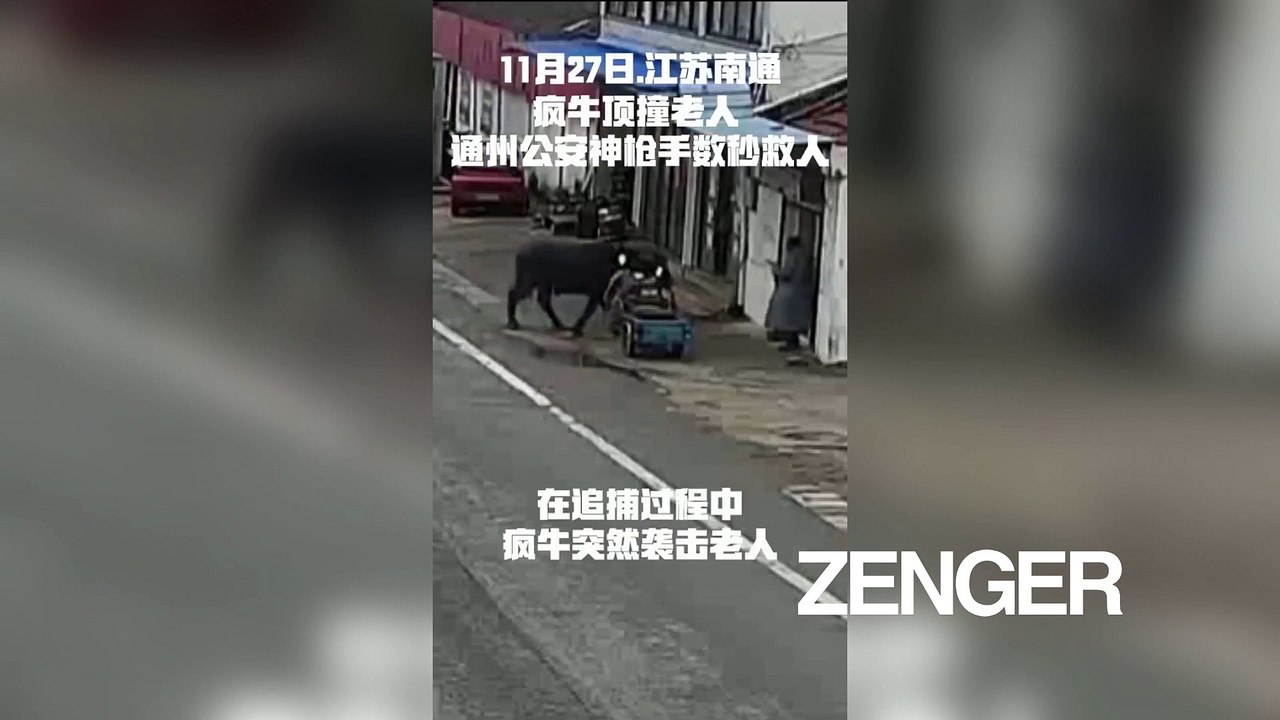 Elderly Man Fights Off Escaped Bull With a Broom (Newsflash)
