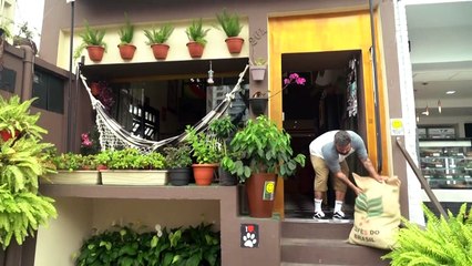 Brasil tem leve queda no desemprego