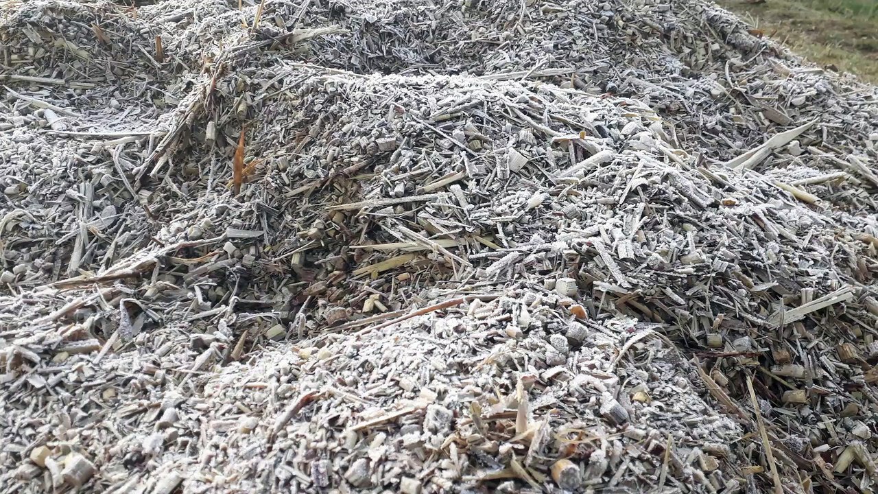 सर्दी का कहर लगातार जारी, माउंट आबू माइनस 4 डिग...