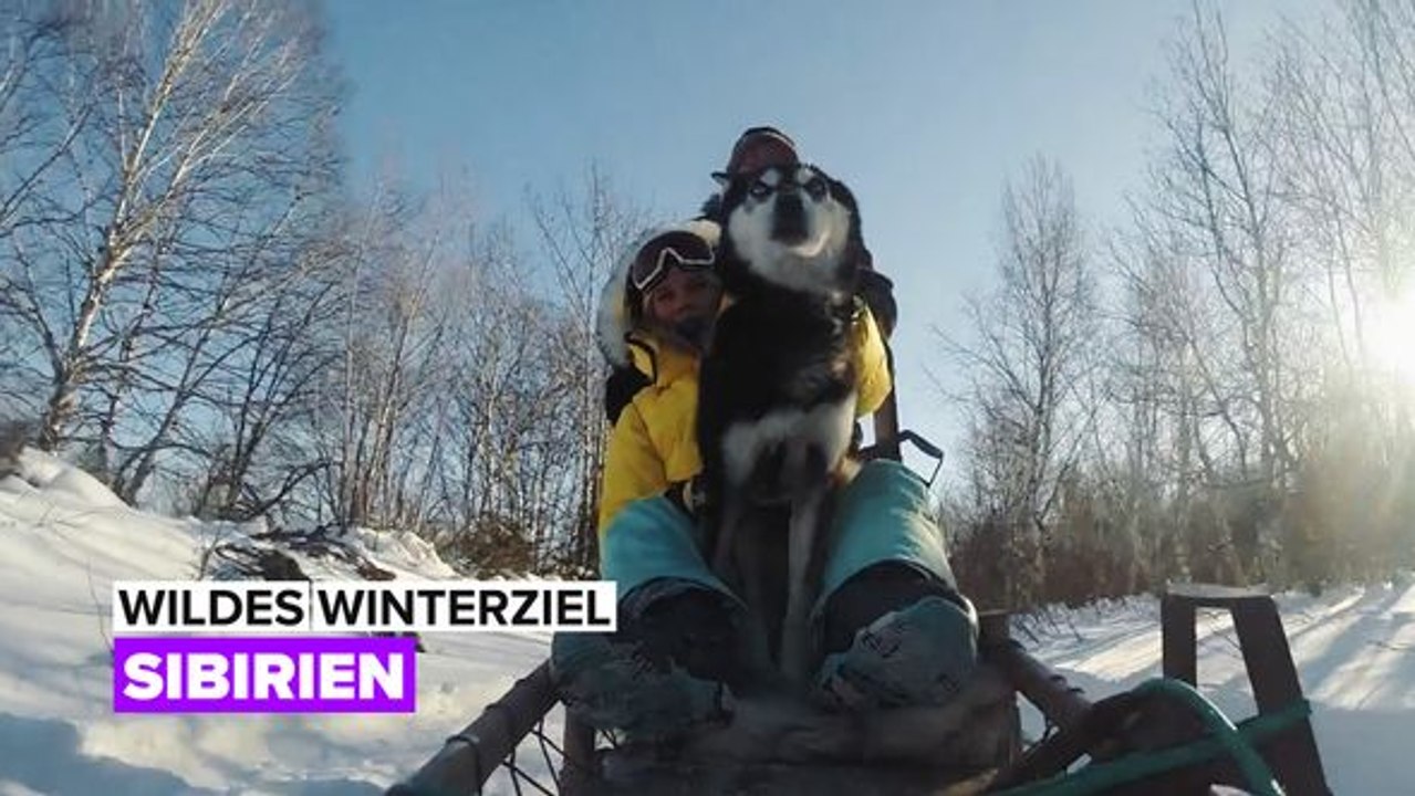 Das nächste urlaubsziel: sibirien