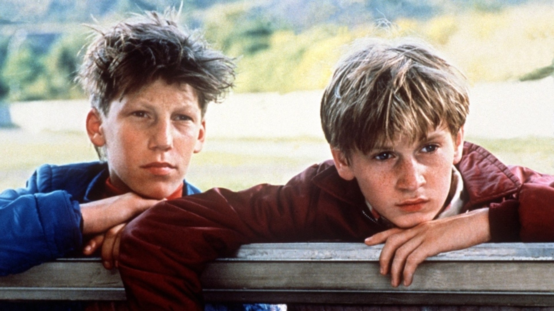 Film La Vie N Est Pas Un Long Fleuve Tranquille La vie est un long fleuve tranquille : Le coup de coeur de Télé 7 - Vidéo  Dailymotion