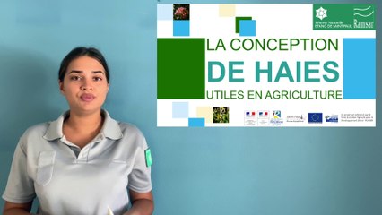 Introduction : Conception de haies utiles en agriculture (MAEC Saint-Paul, La Réunion)