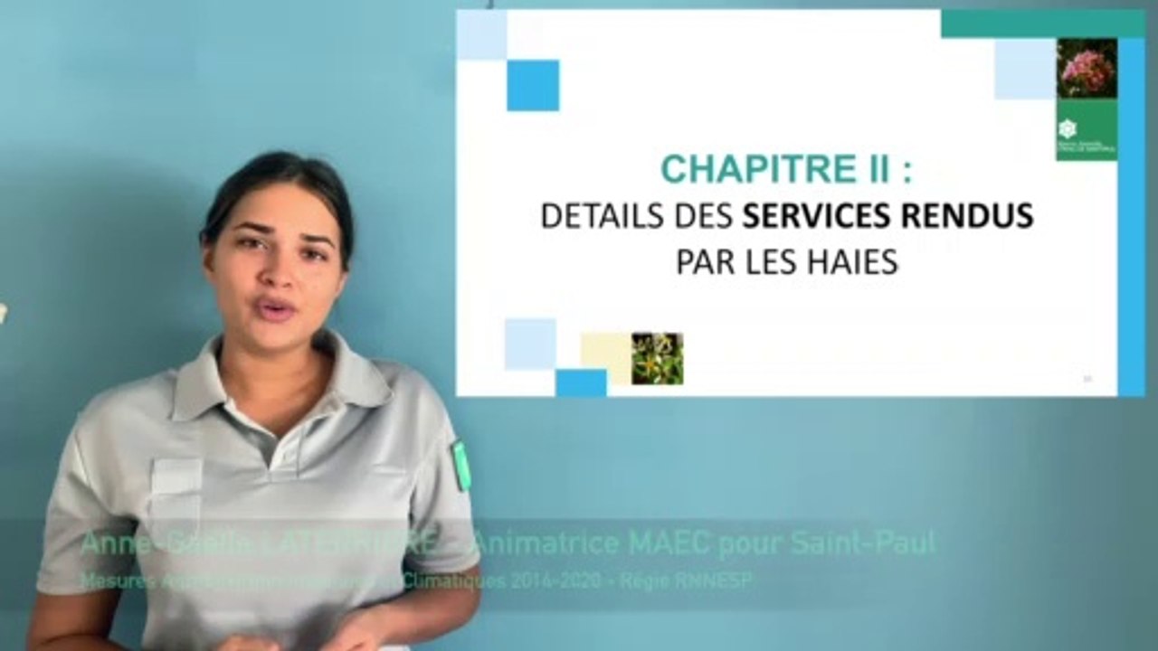 Partie 2: Conception de haies utiles en agriculture (MAEC Saint-Paul, La Réunion)