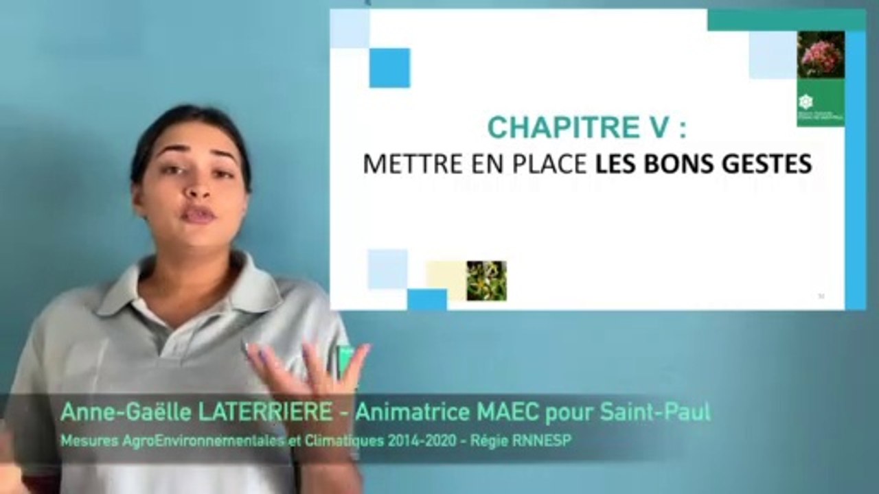 Partie 5: Conception de haies utiles en agriculture (MAEC Saint-Paul, La Réunion)