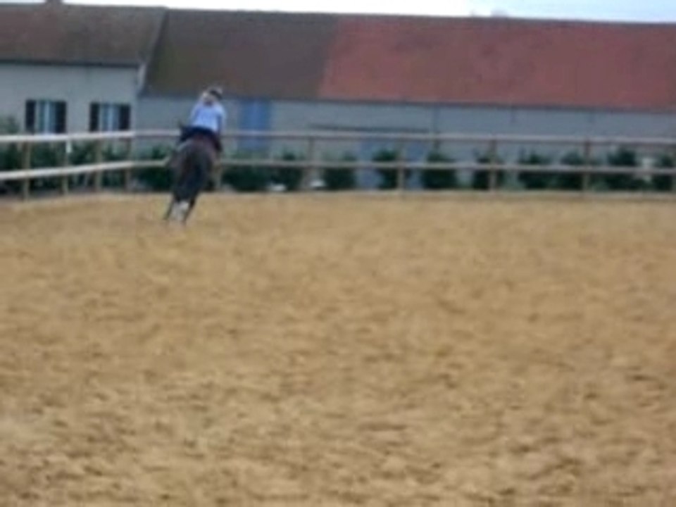 new galop