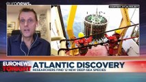 Twelve deep-water creatures discovered in Atlantic Ocean