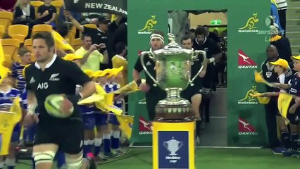 Richie McCaw Tribute Some of His Biggest Hits and Best Plays!