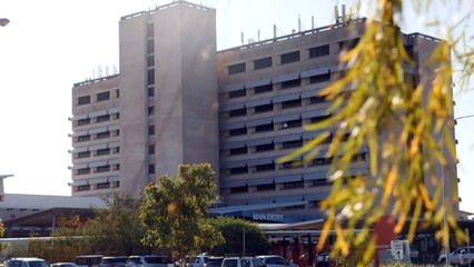 Darwin Port staff put into isolation after positive COVID case aboard cattle ship