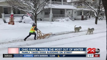 Check This Out: Ohio dog sled team