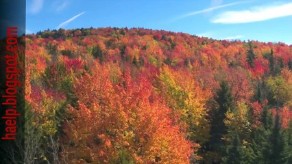 Γ. Τσαμπά LIVE με Χ. Βέρρα στο OpenTv