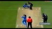 Humorous Cricket Fielding clips unexpected moments  1.1