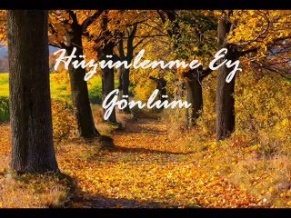 Gürsel İleri - Hüzünlenme Ey Gönlüm