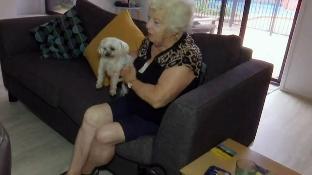 Elderly pets without owners given new permanent homes