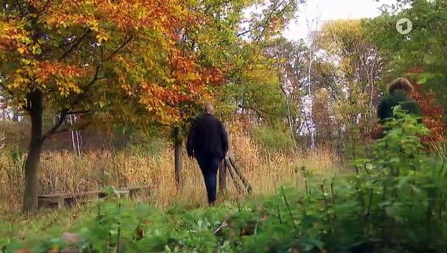 Rote Rosen : Folge 3252: Konservative Heilung