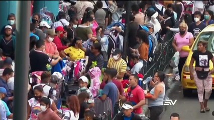 Televistazo 19h00 29-12-2020