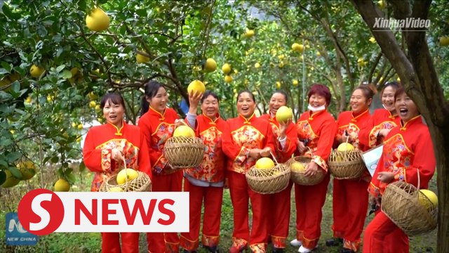 U.S. professor witnesses poverty-relief achievements in rural China