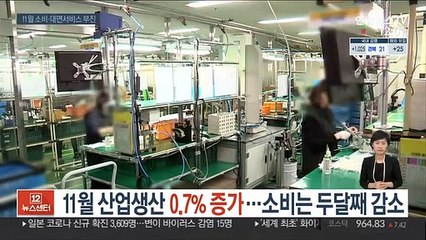 11월 산업생산 0.7% 증가…소비는 두달째 감소