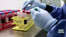 Çin menşeli Sinovac aşısı kime, nasıl uygulanacak? | Video