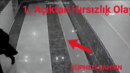 Bal ve zeytinyağı hırsızlarının rahat tavırları ‘pes’ dedirtti