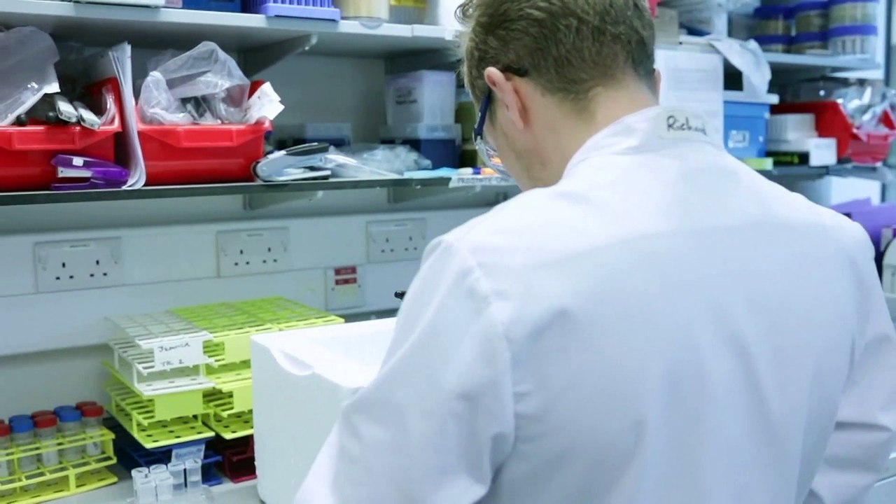 Il Regno Unito approva il vaccino Oxford - AstraZeneca