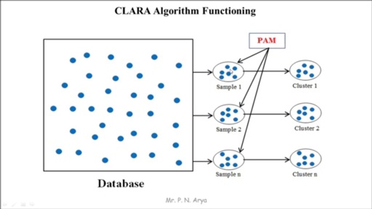Data Mining and Data Warehousing Part 19 | CLARA Algorithm in data mining | CLARA using in Machine Learning | by Prem Sir | PremnArya