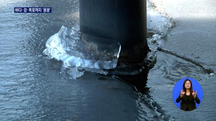 바닷물까지 '꽁꽁' 얼린 최강 한파…'겨울왕국' 한반도
