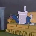 Tom and Jerry funny videos | Tom and Jerry Show | Tom and Jeery Cartoon Video | Tom & jerry videos