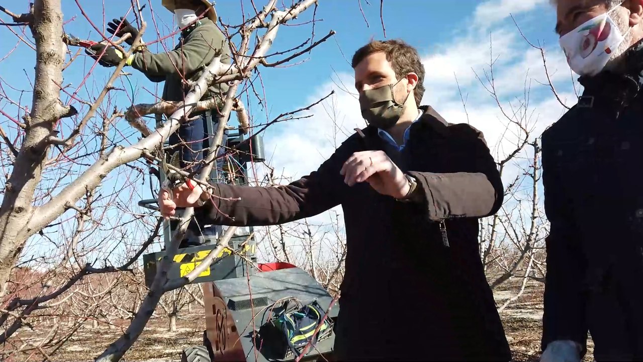 Casado visita una explotación agrícola en Cieza (Murcia)