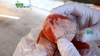 쉿! 곶감에 묻은 하얀 가루의 비밀을 알려드립니다 ( •͈ᴗ-)ᓂ-ෆ