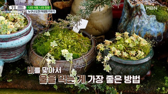 봄 봄 봄이 왔어요~♬ 밖은 겨울인데 이곳에 오면 봄을 만날 수 있다?