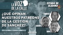 LA VOZ DE LA CALLE: ¿Qué OPINAN nuestros PATREONS de la GESTIÓN de SÁNCHEZ?